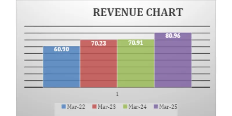 Financial Statement Analysis